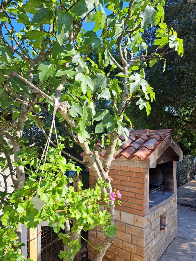Apartman Melita Galižana Zewnętrze zdjęcie